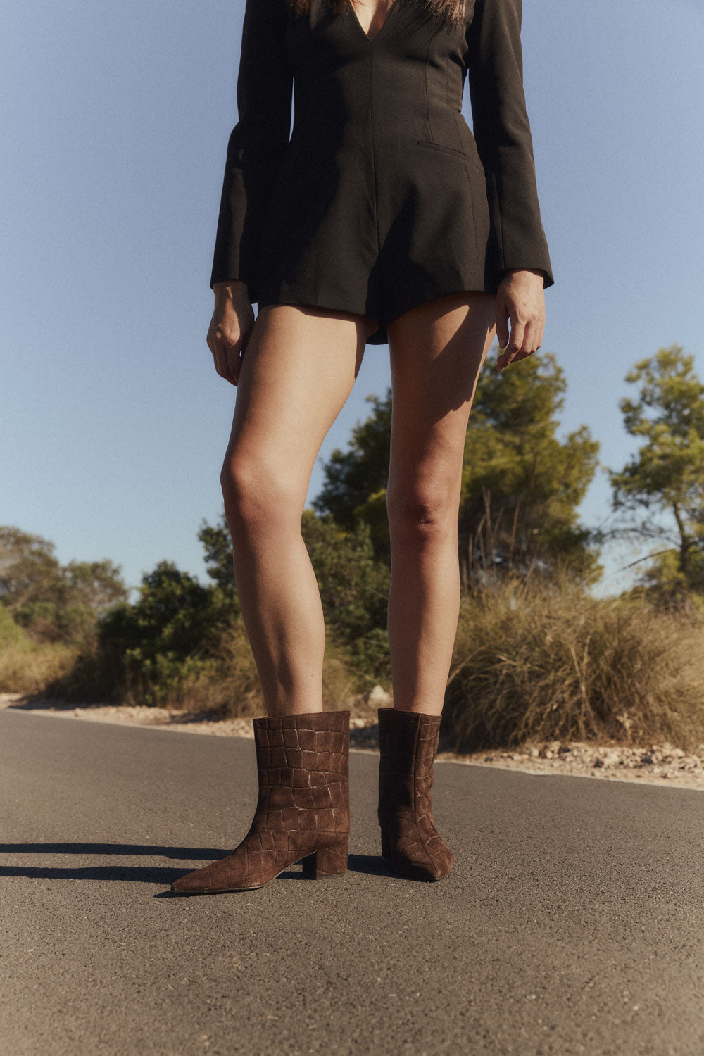 Editorial Angel Alarcon
